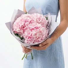 3 Розовые Гортензии