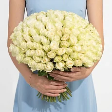 151 Белая Роза