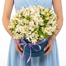 29 Белых Альстромерий в коробке