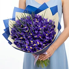 101 Ирис в упаковке