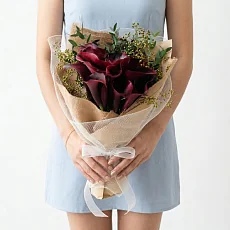 11 Бордовых Калл в упаковке