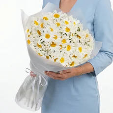 51 Крупная Ромашка