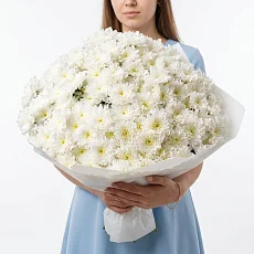 31 Кустовая Хризантема