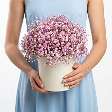 Коробка с розовой гипсофилой