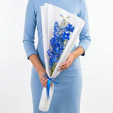 3 Синих Дельфиниума