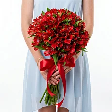 13 Красных Альстромерий