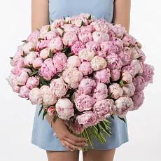 101 Пион Сара Бернар