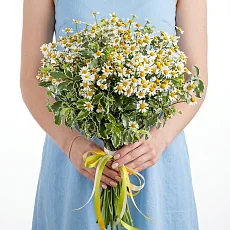 Букет невесты из полевых цветов