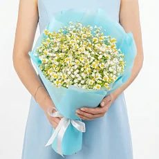 Букет гипсофилы и ромашки