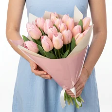 19 Нежных Тюльпанов