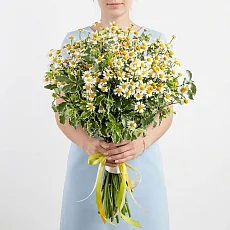 Букет невесты из полевых цветов