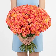 151 Коралловая Роза