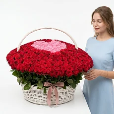 Красные розы сердце в корзине из 501 шт