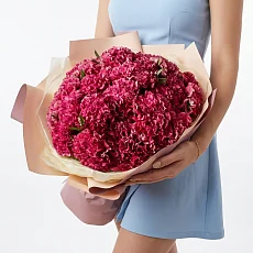 35 Малиновых Гвоздик в упаковке