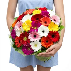 Букет из 25 гербер микс