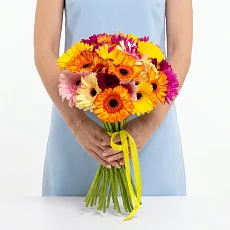 25 Гербер Микс под ленту