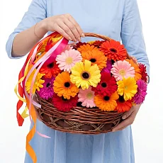 45 Разноцветных Гербер в корзине