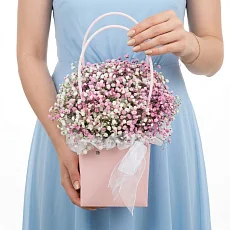 Нежная розовая гипсофила в сумке