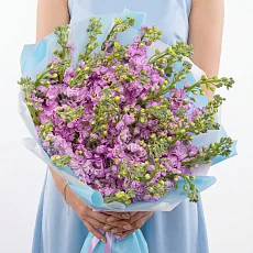 35 Розовых Маттиол в упаковке