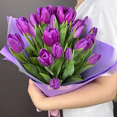 21 Сиреневый Тюльпан