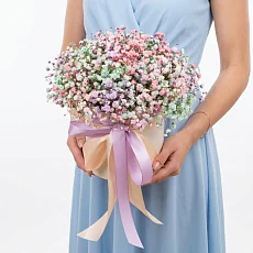 Гипсофила в коробке