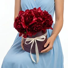 11 Красных Пионов в коробке