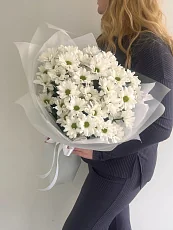 7 Кустовых хризантем в матовой упаковке 