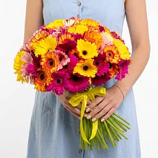 75 Гербер Микс