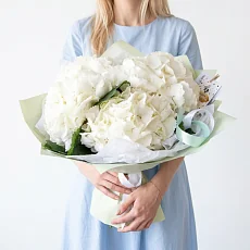 3 Снежные Гортензии