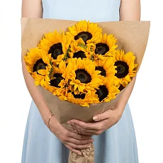 11 Подсолнухов в крафте