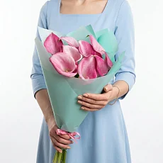 Каллы розовые в упаковке, 9 шт
