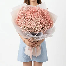 35 Нежно-Оранжевых Гипсофил