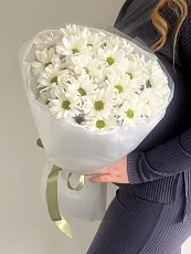 5 Кустовых хризантем в матовой упаковке