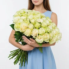 51 Элитной роза Mondial (Эквадор)