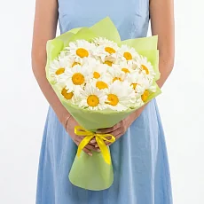 25 Крупных Ромашек в упаковке