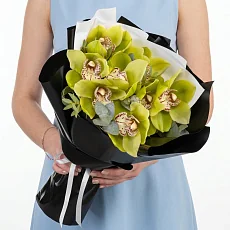 9 Зеленых Орхидей в черной упаковке