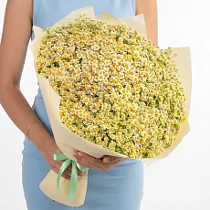 71 Кустовая Ромашка