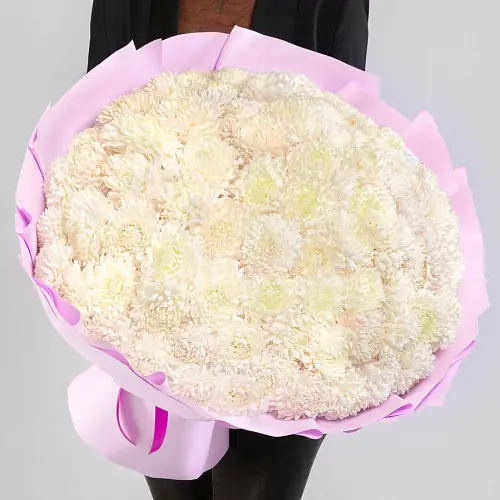 101 хризантема