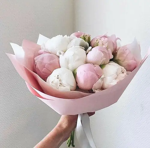 11 Нежных и Белых Пионов в упаковке