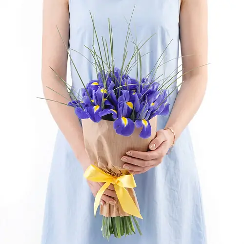 11 Ирисов в крафте