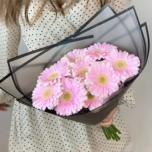 9 Розовых Гербер в упаковке