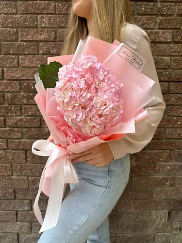 Розовая гортензия в дизайнерской упаковке