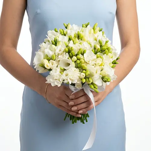 41 Белая Фрезия