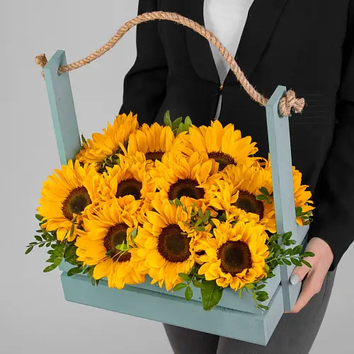 11 Подсолнухов в ящике