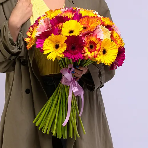 51 Гербера Микс