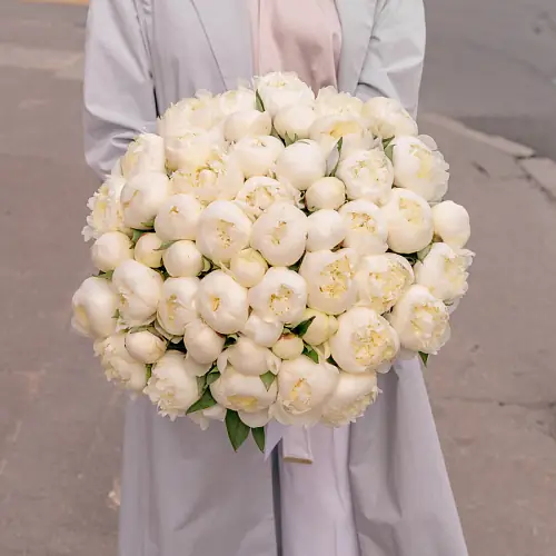 51 Белый Пион