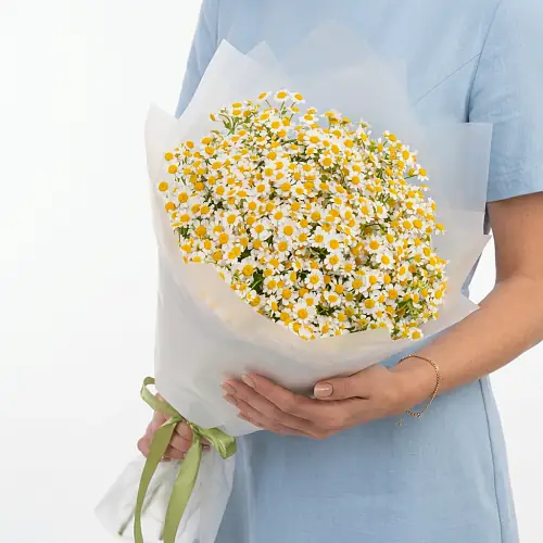 25 Кустовых Ромашек