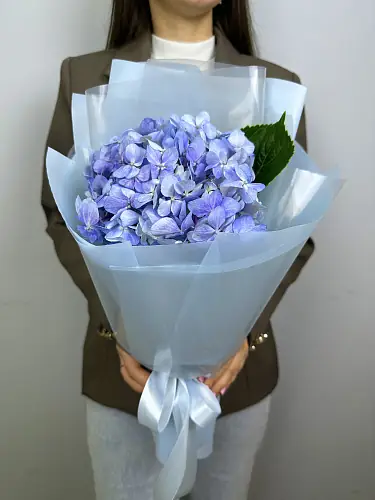 Букет нежных цветов из голубой гортензии в дизайнерской упаковке