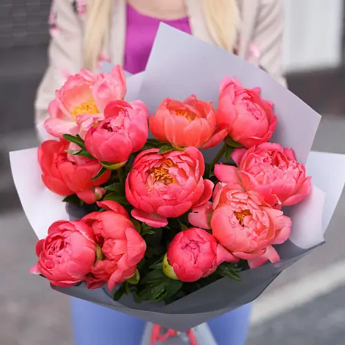 11 Коралловых Пионов в упаковке