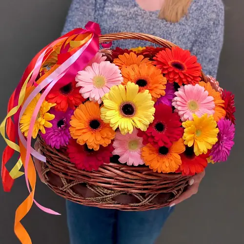 45 Разноцветных Гербер в корзине
